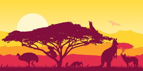 Australian plains Wild nature of Australia. Acacia trees . Realistic vector landscape. Silhouettes of animals and plants. Travels EPS
