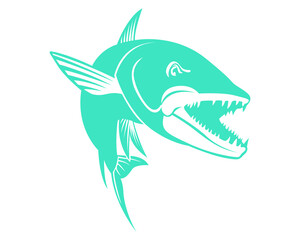 Beautiful sea creature vector icon. Great shark isolated. Large fish species. 