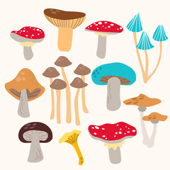 Big different mushrooms set, edible and poisonous fungus collection with cep, fly-agaric, toadstood, slippery jack, rufous milkcap, chanterelle, white mushroom, boletus EPS