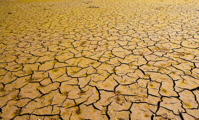 landscape with cracked soil due to drought