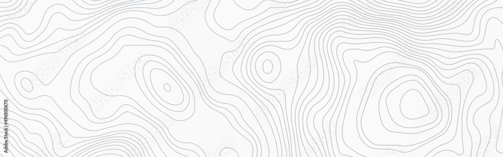 Poster The stylized height of the topographic contour in lines,  Topographic Map Seamless Pattern. Vector Background, white topographic line contour map background, geographic grid map.