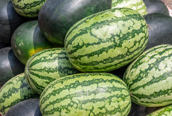 A pile of organic fresh watermelons inside of a fruit market
