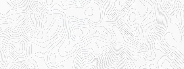 The stylized height of the topographic contour in lines,  Topographic Map Seamless Pattern. Vector Background, white topographic line contour map background, geographic grid map.