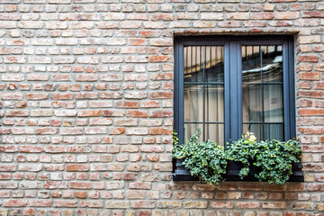 Fototapeta na wymiar Brick wall with a window. Green plants on the window. Window decor. An old house.
