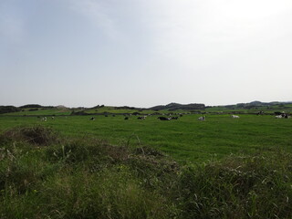 S'Escala, Menorca, Islas Baleares, España