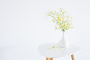 yellow gypsophila in white vase on white background