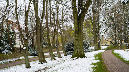 Rinteln Park Blumenwall Wintereinbruch