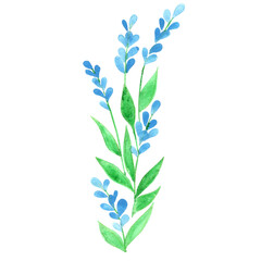 Blue flower watercolor for decoration on spring garden , wedding, and nature concept.