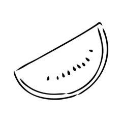 Hand drawn vector illustration - watermelon . Design elements in sketch style watermelon vector sketch