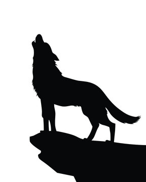 Vector of wolf standing on the edge of a hill. Howling wolf silhouette. 