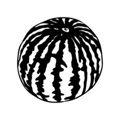 Hand drawn vector illustration - watermelon . Design elements in sketch style watermelon vector sketch