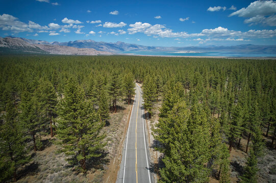 Aerial view of a road crossing the forest with pine trees near Yosemite National Park, Benton, California, United States.