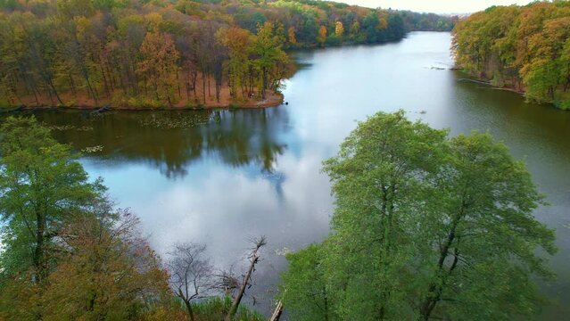 Curved banks of the narrow river overgrown with trees. Beautiful colors of nature on autumn season. Aerial view.