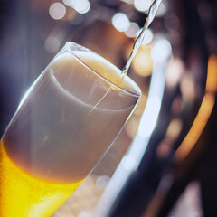 pouring craft beer to the glass closeup square - obrazy, fototapety, plakaty