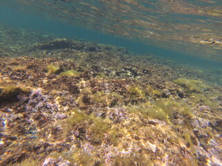 Binimel-la, Menorca, Islas Baleares, España