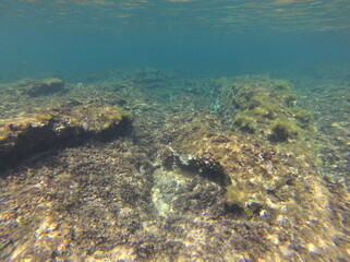 Binimel-la, Menorca, Islas Baleares, España