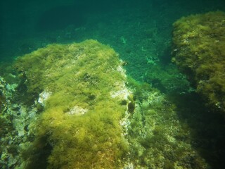 Binimel-la, Menorca, Islas Baleares, España