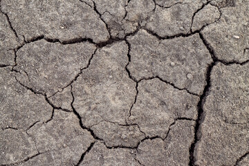 The surface of the soil is covered with cracks during drought