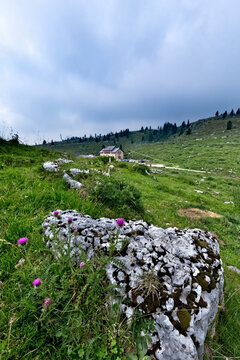 Malga Zebio is located among the high altitude pastures of mount Zebio. Asiago, Veneto, Italy.
