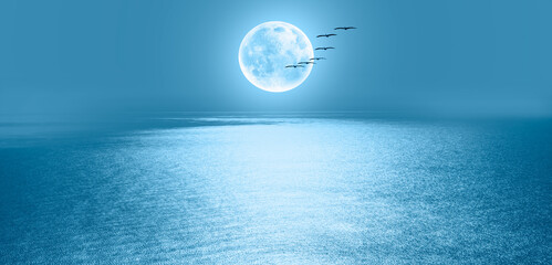 Migratory birds flying in the sky with full blue moon 