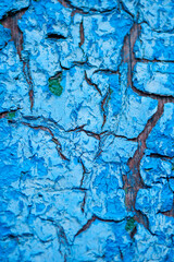Obraz premium Old paint texture background photo