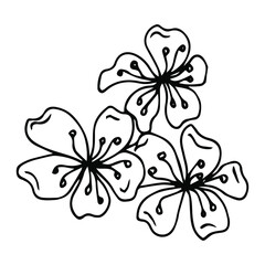 Flower art line. Sakura or Apple blossoms in vector isolated on white background. Spring flowers drawn in black and white line. Icon or symbol of spring and flowers.Doodle outline. Sketch.