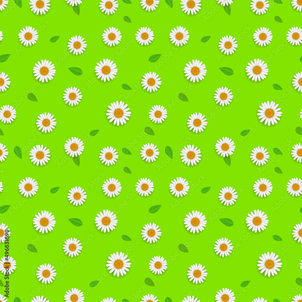 Aufkleber spring seamless pattern with white camomiles and leaves