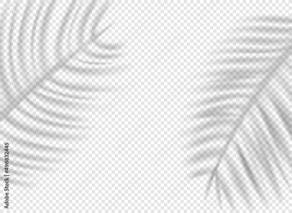 Poster Palm leaves shadows on transparent background. Shadow overlay effect vector effect