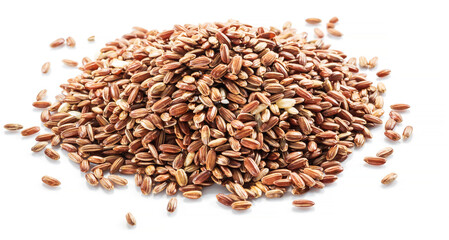 Brown rice heap - whole grain rice with outer husk on white background. Close-up.
