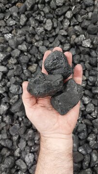 Stein-Kohle in Brocken in der Hand vor Kohlehaufen 