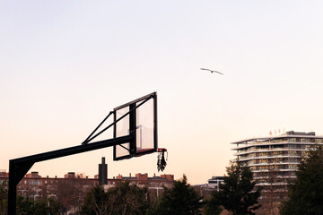 basket of a basketball court in the city