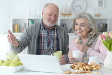  senior couple using  laptop  at home