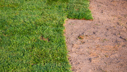 Natural grass laid floor. Green ground and soil contrast image