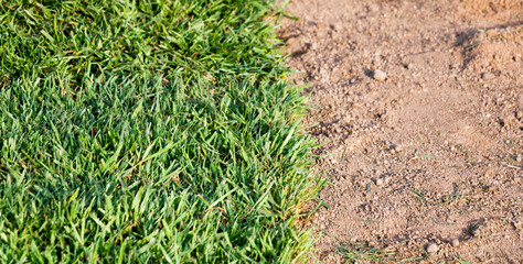 Natural grass laid floor. Green ground and soil contrast image