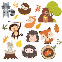 Woodland forest animals cartoon set