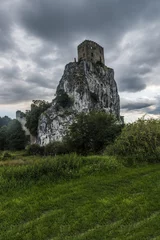 Tuinposter Beckov castle in Slovakia near Trencin town © Fyle