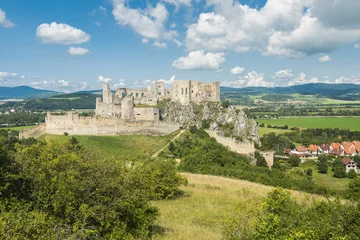 Stof per meter Beckov castle in Slovakia near Trencin town © Fyle