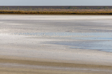 The coastline of a salt lake with a white border of salt