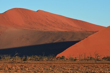 Fototapeta na wymiar Dünen im Morgenlicht auf dem Weg ins Sossusvlei (im Namib-Naukluft-Park in Namibia)