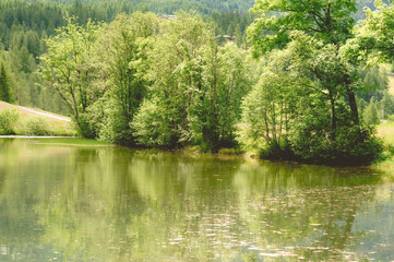 Fototapeta na wymiar Riflessi di verde nel lago di Loz, Valtournenche