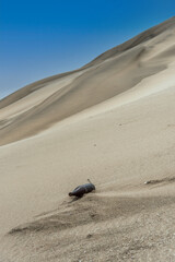 Glass bottle lying on the sand dune near the beach with blue sky. Let's take care of the planet