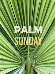 Palm Sunday text on the background of a green palm branch. The concept of a Christian holiday.