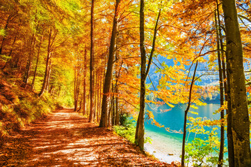 Beautiful pathway with yellow autumn trees on the shore of lake. Alps mountains, Austria