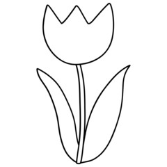 tulip flower hand-drawnline art illustration for template, web, wedsite, application, presentation, Graphics design, branding, etc.