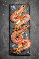 Close up Shrimps, prawns. Seafood Red Argentine shrimps with salt, Wild shrimps, ocean jumbo...