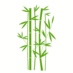 Handdrawn Green Bamboo Plant Vertical In White Background