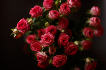 Beautiful bouquet of pink (red) roses bushes with water drops on a black background. Selective focus, close-up.