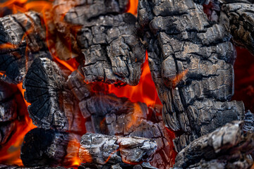 The hottest background. A fire blaze, heat and burning wood close-up.