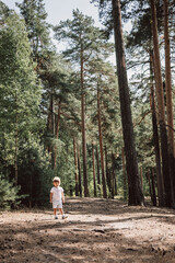 Fototapeta premium Happy cute toddler boy in t-shirt and shorts walking along path in summer park. Little kid outing on path in pine forest. Hyper-local travel concept. Active lifestyle. Child having fun in green woods.