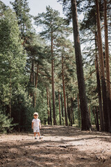 Happy cute toddler boy in t-shirt and shorts walking along path in summer park. Little kid outing on path in pine forest. Hyper-local travel concept. Active lifestyle. Child having fun in green woods.